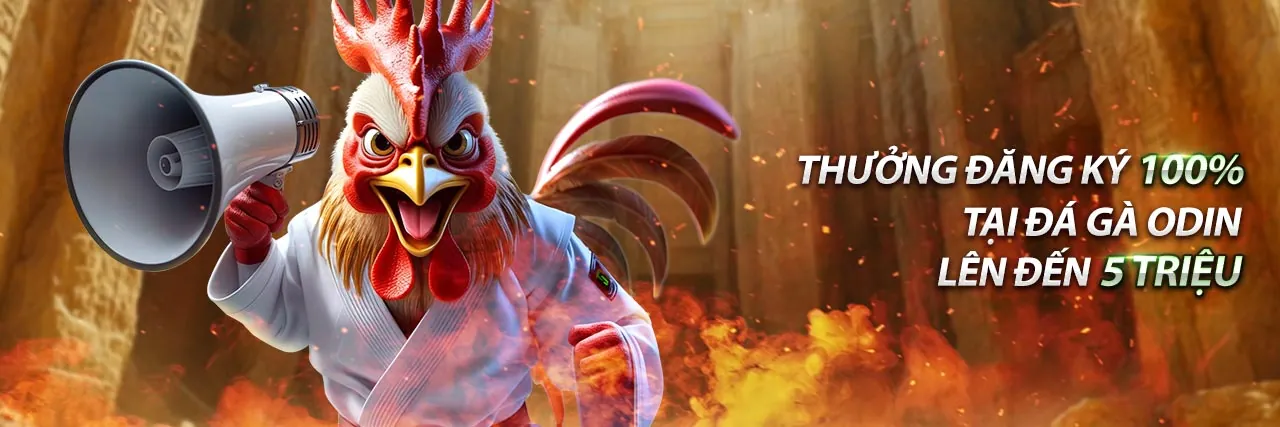 Hình ảnh Chính sách Quyền riêng tư 789p, bảo vệ dữ liệu người dùng 2026